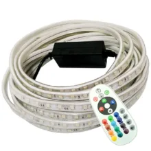 ریسه ال ای دی مدل  شلنگی RGB طول 5 متر به همراه ریموت