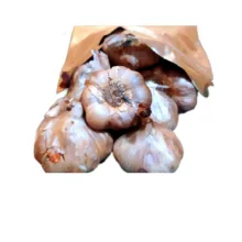 سیر سیاه ممتاز سلامت - 1000 گرم