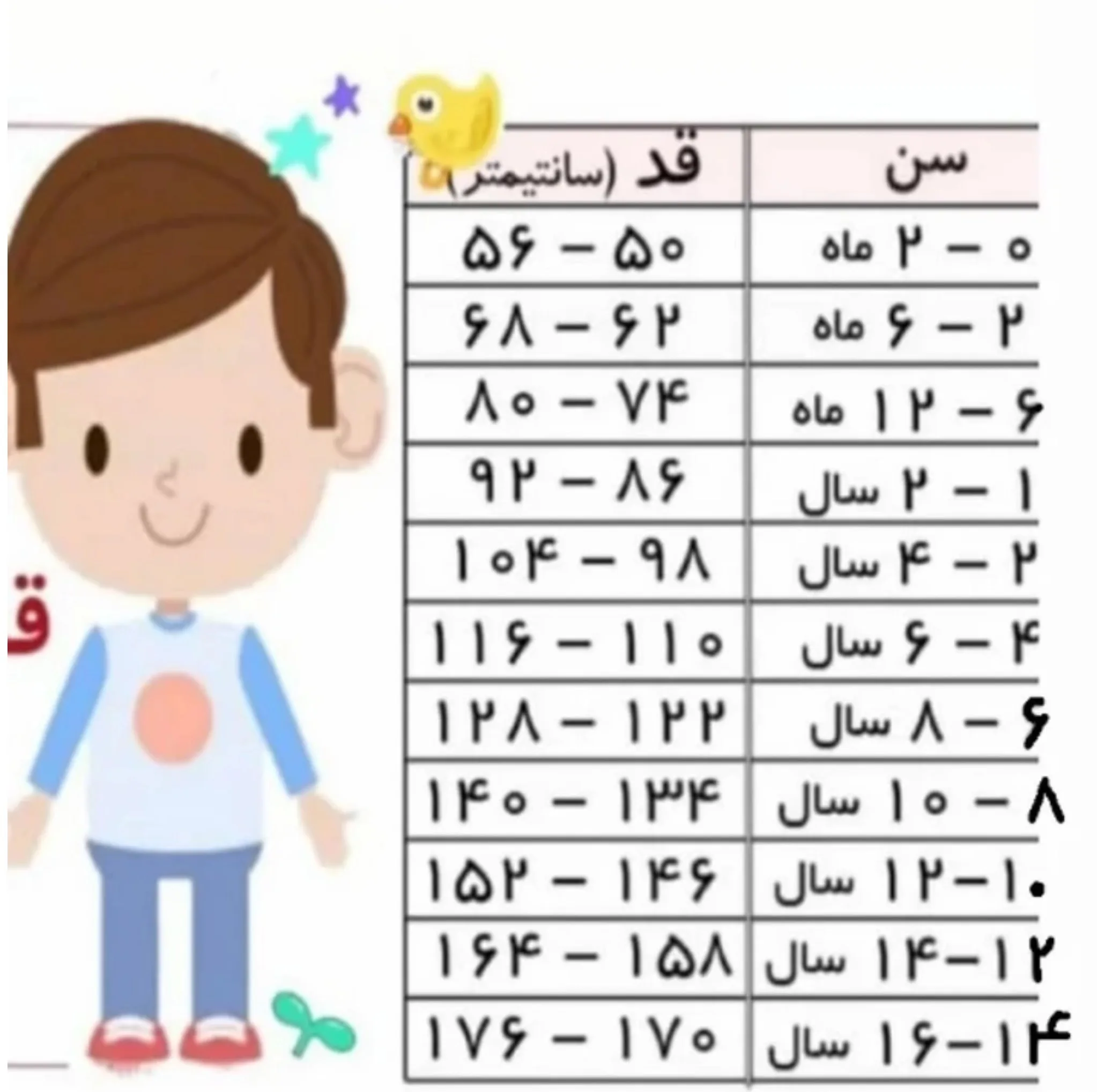 کاپشن دخترانه توپومینی مدل Fam2029