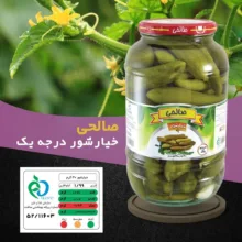 خیارشور پاستوریزه صالحی - 1300 گرم مجموعه 6 عددی