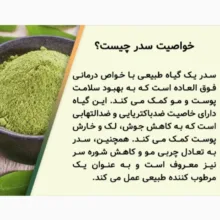 پودر سدر جالینوس - 100 گرم
