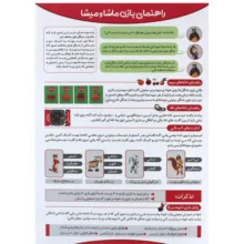 بازی فکری مدل ماشا و میشا نابغه هوشمند