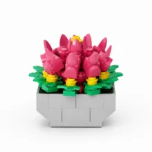 ساختنی 90 تکه مدل ECHEVERIA LOLA