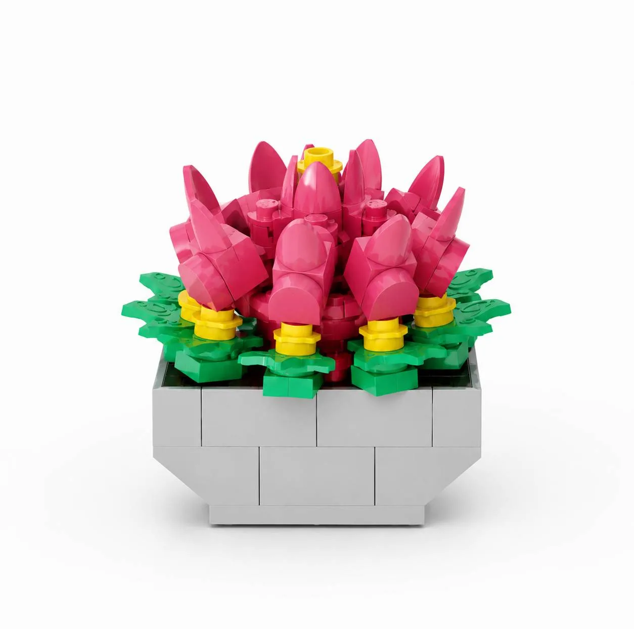 ساختنی 90 تکه مدل ECHEVERIA LOLA