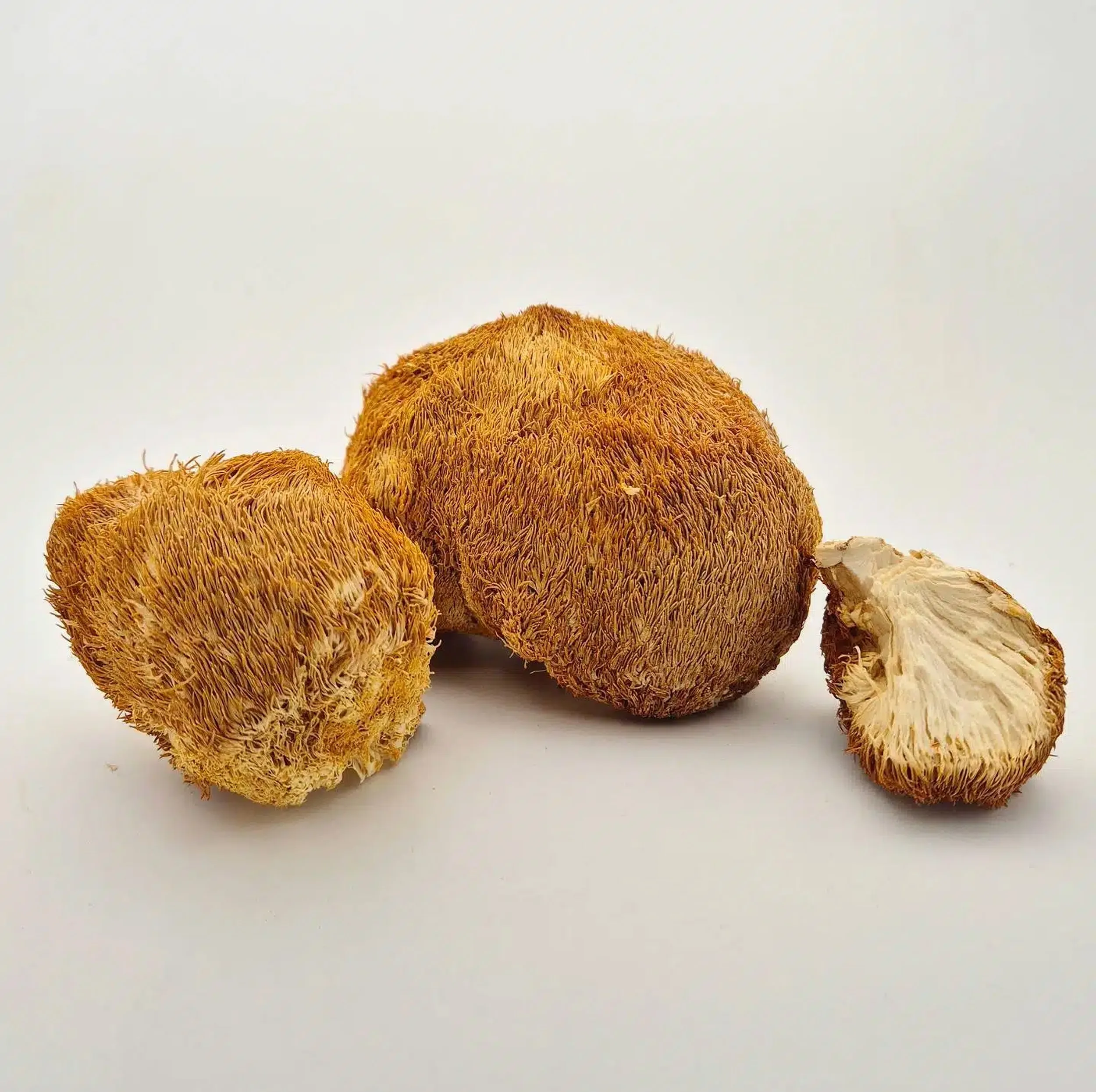 قارچ خشک یالشیر کینگ - 500 گرم