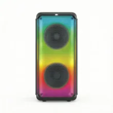 اسپیکر بلوتوثی قابل حمل برودو مدل BTS Dual 8inch