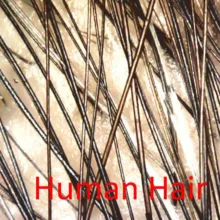 میکروسکوپ دیجیتال مدل hl-1000x