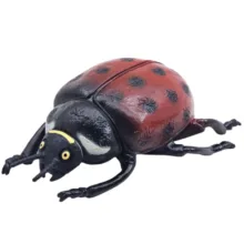 فیگور ناب سل مدل کفشدوزک کد LADYBUG NAAB003 ارتفاع 6 سانتی‌متر