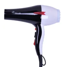 سشوار حرفه ای پرومارون مدل RL-8807