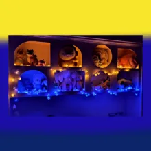 ریسه ال ای دی مدل گل رز 8 متری مجموعه دو عددی