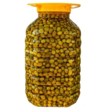 زیتون هسته دار جنگلی رودبار – 10 کیلوگرم