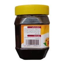 رب ازگیل سنتی جالینوس - ۴۵۰ گرم