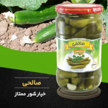 خیارشور سرکهای پاستوریزه ممتاز صالحی - 650 گرم مجموعه 12 عددی