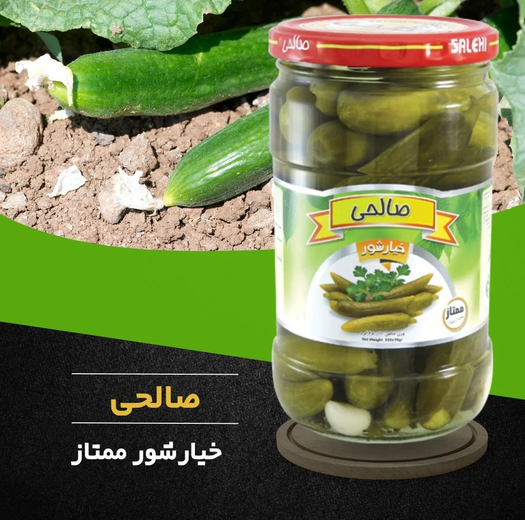 خیارشور سرکهای پاستوریزه ممتاز صالحی - 650 گرم مجموعه 4 عددی