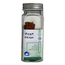 قارچ چاگا آران – 23 گرم