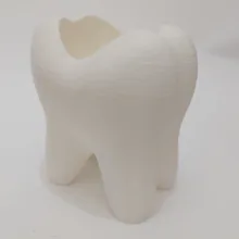 جامسواکی مدل tooth