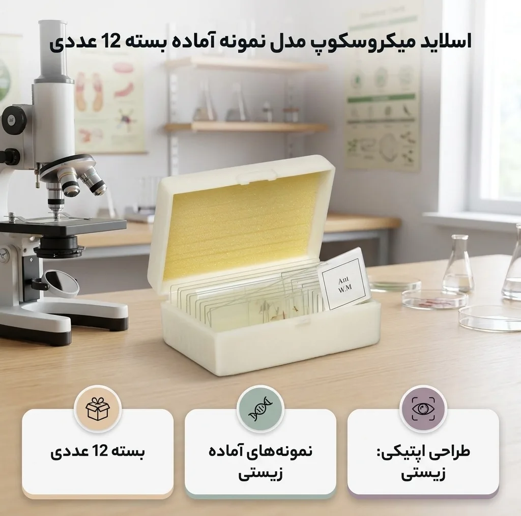 اسلاید میکروسکوپ مدل نمونه آماده بسته 12 عددی
