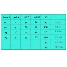 ست تی‌شرت آستین کوتاه و شلوار راحتی بچگانه مدل تدی