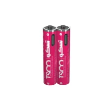 باتری نیم‌قلمی شارژی تسکو مدل TBL10 با  درگاه USB-C به همراه کابل شارژ با ظرفیت (220mAh) بسته دو عددی