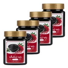 رب زرشک سنتی جالینوس – 450 گرم بسته 4 عددی