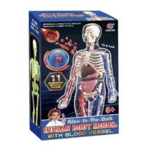 بازی آموزشی تنگ ژین مدل مولاژ بدن انسان کد WPX–016