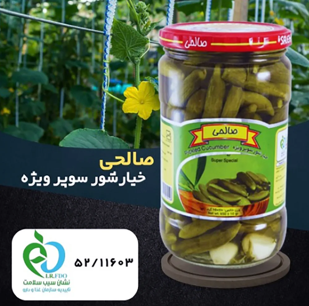 خیارشور ریز پاستوریزه صالحی - 650 گرم مجموعه 2 عددی
