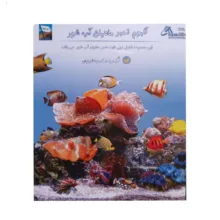 تمبر یادگاری مدل آلبوم تمبر ماهیان آب شور مجموعه 6 عددی