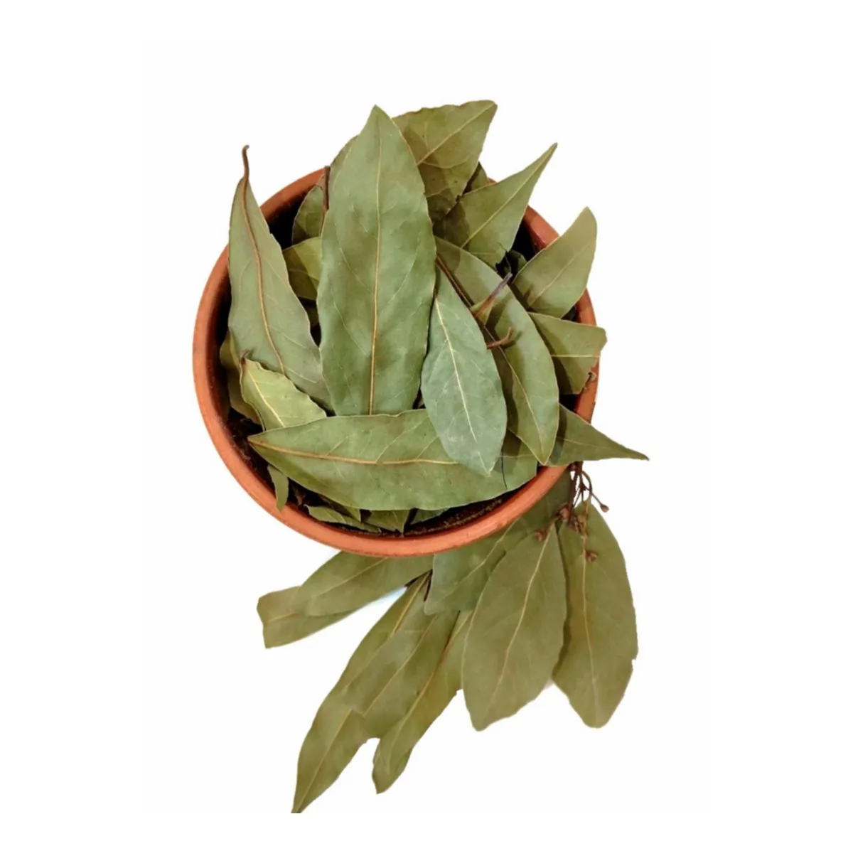 برگ بو بانوی جنوب - 200 گرم