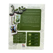 بازی فکری رادین تویز مدل شیر مار