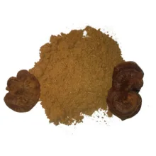 قارچ گانودرما قرمز قارچ معجزه - 200 گرم