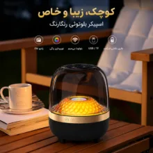 اسپیکر بلوتوثی قابل حمل برودو مدل BTS 2447