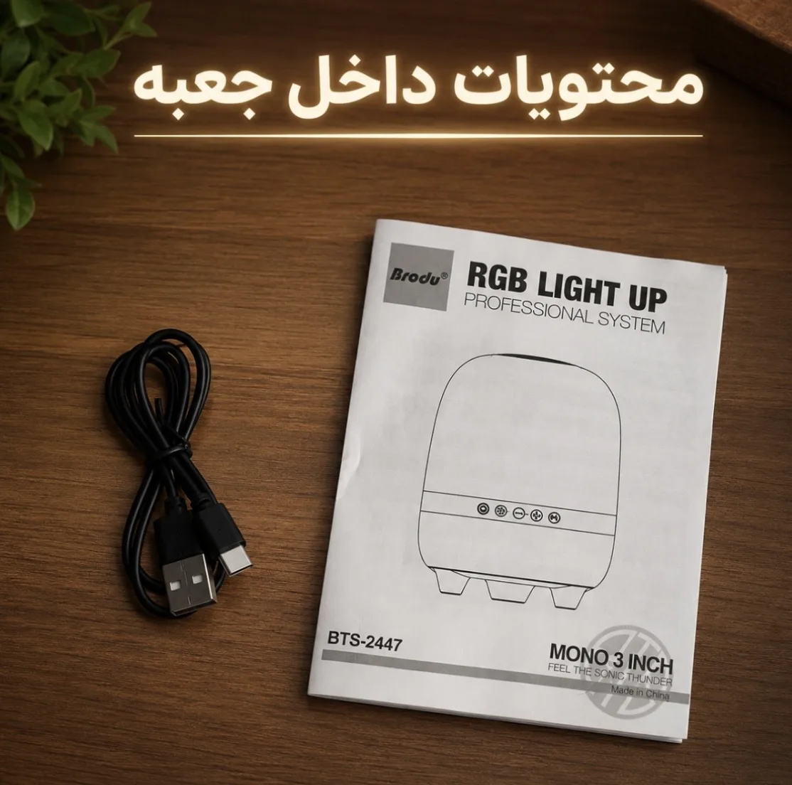 اسپیکر بلوتوثی قابل حمل برودو مدل BTS 2447