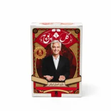 بازی فکری مدل گل یا پوچ کوچک کد B037
