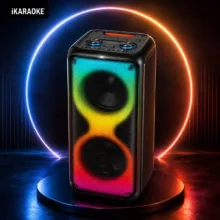 اسپیکر برودو مدل IKARAOKE 1910
