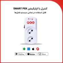 پریز هوشمند پِک مدل PSH214 B-2