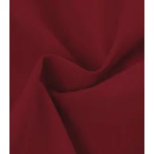 کاپشن مردانه مدل SB-HN-6701-1 طرح ساده رنگ قرمز تیره