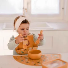 کاسه کودک مدل سیلیکونی