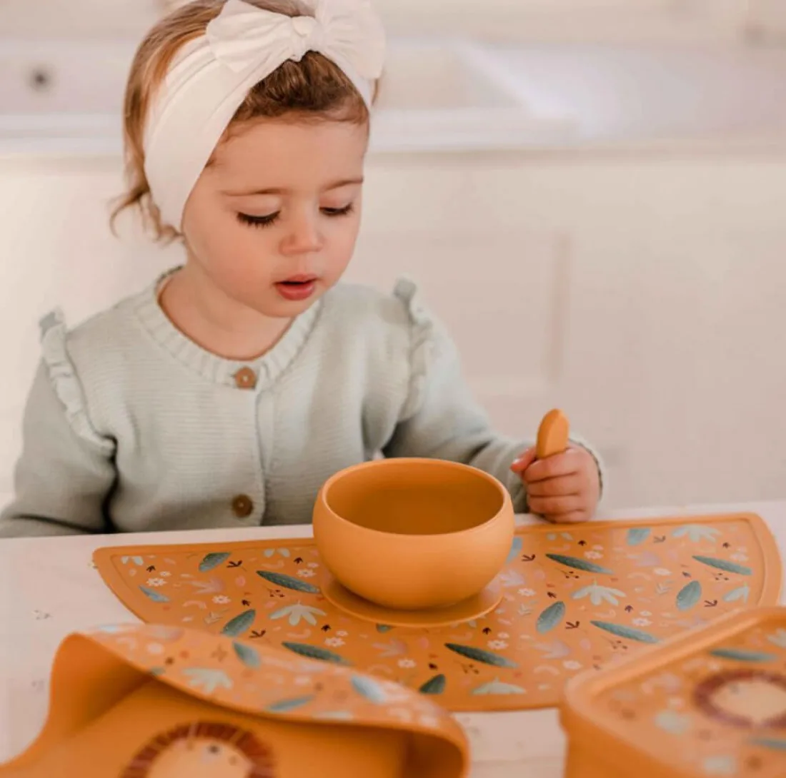 کاسه کودک مدل سیلیکونی