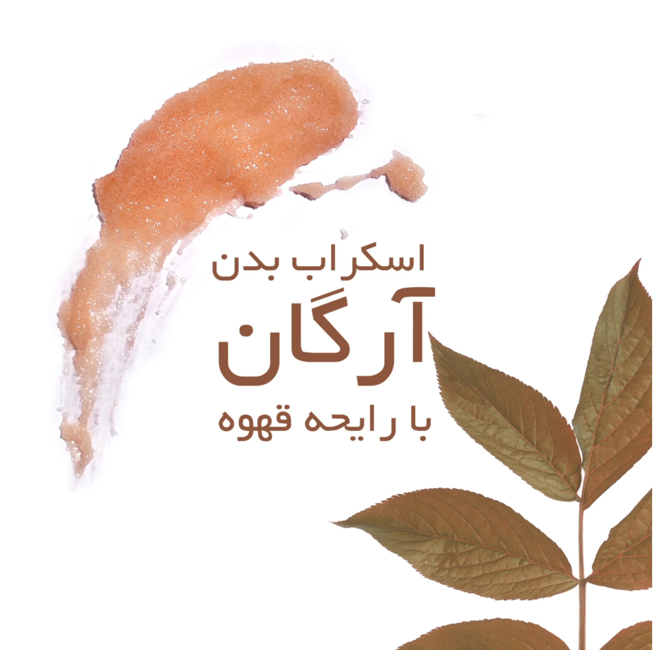 اسکراب بدن تاپ شاپ مدل روغن آرگان حجم 200 میلی لیتر بسته 2 عددی