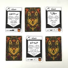 بازی فکری سان گیمز مدل کایوتی