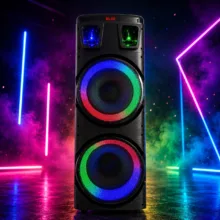 اسپیکر بلوتوثی قابل حمل برودو مدل Karaoke Box dual 10inch