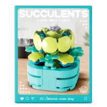 ساختنی 98 تکه مدل ECHEVERIA CREAM BERRY