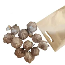 سیر سیاه ممتاز سلامت - 1000 گرم بسته دو عددی