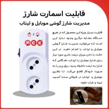 پریز هوشمند پِک مدل PSH214 B-2