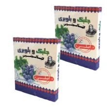 جلبک بلوبری جالینوس – 90 گرم بسته 2 عددی