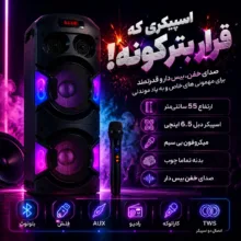 اسپیکر بلوتوثی قابل حمل برودو مدل BTS 2238