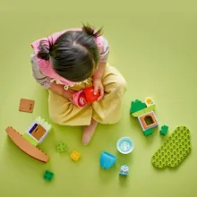 لگو 27 تکه سری Duplo مدل Balancing N Stacking Tree کد 10440