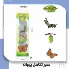بازی آموزشی حیوانات مدل سیر تکامل پروانه