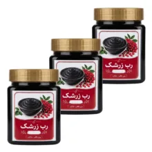 رب زرشک سنتی جالینوس – 450 گرم بسته 3 عددی