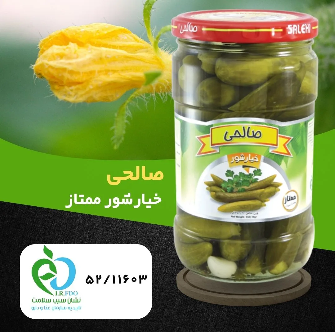 خیارشور سرکهای پاستوریزه ممتاز صالحی - 650 گرم مجموعه 4 عددی